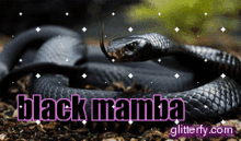 Aespa Black Mamba GIF - Aespa Black Mamba Villain GIFs
