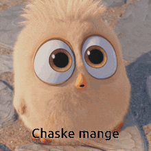 Chaske Mange GIF - Chaske Mange Chaskemange GIFs