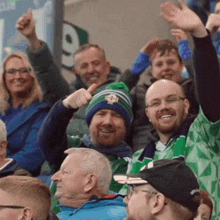 Crowd Cheering Northern Ireland GIF - Crowd Cheering Northern Ireland Fans Cheering GIFs