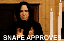 Snape Approves GIF - Snape Approves Harry GIFs