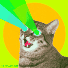 Laser Cat GIF - Laser Cat GIFs