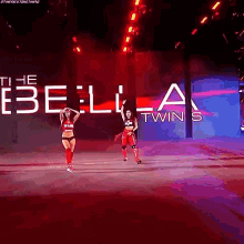 Bella Twins Brie Bella GIF - Bella Twins Brie Bella Nikki Bella GIFs