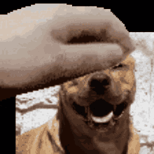 a pixelated image of a person petting a dog 's face