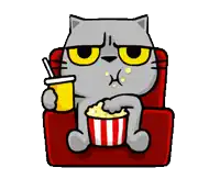 a cat is sitting in a chair eating popcorn and drinking soda