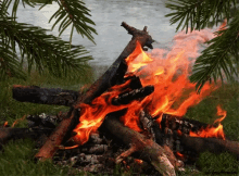 bonfire burning wood burning flame
