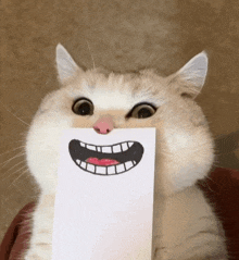 Cat Smile GIF - Cat Smile Cute Cat GIFs