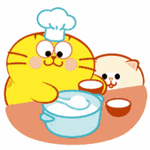 cooking cat