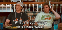 Shark Week GIF - Step Brothers Will Ferrell John Reilly GIFs
