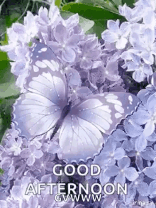 Greetings Good Afternoon GIF - Greetings Good Afternoon Glitter GIFs