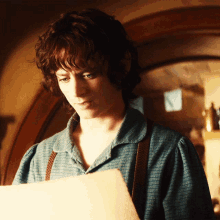 Frodo What Is This GIF - Frodo What Is This Really GIFs