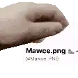 a close up of a person 's hand on a white background