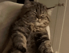 GIF