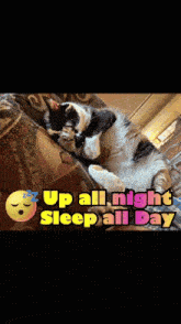 a cat laying on a couch with the words up all night sleep all day above it
