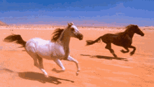 Hermosos Caballos Horse GIF - Hermosos Caballos Horse Running GIFs
