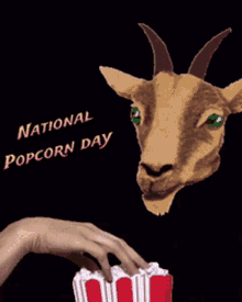 popcorn eating deer gif popcornday
