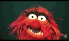Zoe Muppets GIF - Zoe Muppets Sesame Street GIFs