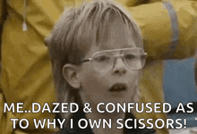Mullet Wow GIF