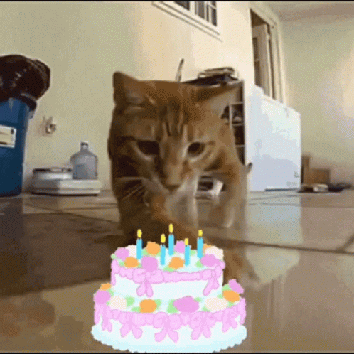 Happy Birthday GIF by Tutimon - Find & Share on GIPHY