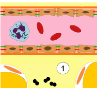 Cell Neutrophil Sticker
