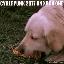 Cyberpunk2077 Cyberpunk GIF - Cyberpunk2077 Cyberpunk Xbox GIFs