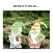 spring gnome gardening flowers veggies
