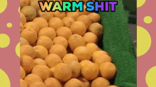 hollyism mr blobby warmshit warm shit hollyism mr blobby warmshit warm shit