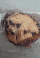 Tim Hortons Chocolate Chip Muffin GIF - Tim Hortons Chocolate Chip Muffin Muffins GIFs