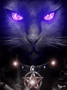 Fantasy Cat GIF - Fantasy Cat Pentagram GIFs