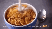 breakfast cereal cornflakes milk