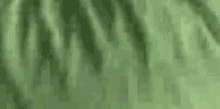 Sameer Green Cloth GIF - Sameer Green Cloth Cloth GIFs