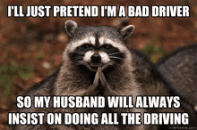 Raccoon - Husband GIF - Raccoon Pretend All According The Plan GIFs