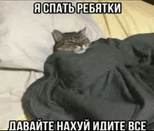 a cat is wrapped in a blanket with a caption in a foreign language