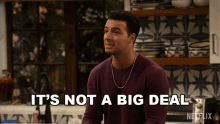 Its Not A Big Deal Victor GIF - Its Not A Big Deal Victor The Expanding Universe Of Ashley Garcia GIFs