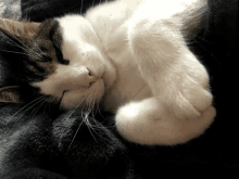 a close up of a cat sleeping on a blanket with its eyes closed