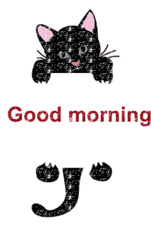 Good Morning Cat GIF - Good Morning Cat GIFs