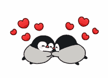 penguin love flying affection hearts