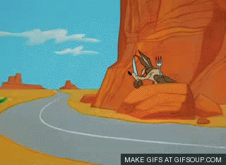 Roadrunner Running GIF - Roadrunner Run Fast GIFs
