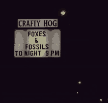 Foxes And Fossils Tonight GIF - Foxes And Fossils Tonight Crafty Hog GIFs