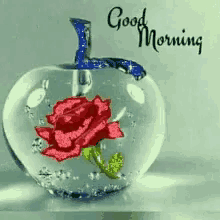 Good Morning Flowers GIF - Good Morning Flowers Colorful GIFs