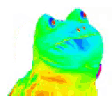 a pixel art of a frog with a rainbow of colors on it 's face .