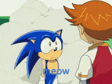 Sonic Meow GIF - Sonic Meow Oh Well GIFs