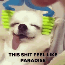 This Shit Feel Like Paradise Massage GIF - This Shit Feel Like Paradise Massage Rub GIFs