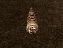 a computer generated image of a worm with a green glowing object in the background