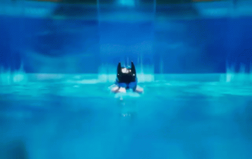 Swimming Lego Batman Movie GIF - Lego Batman Lego Batman Movie Swimming  With Dolphins - Discover & Share GIFs