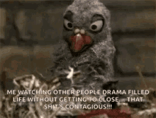 Bird Drama GIF - Bird Drama Popcorn GIFs