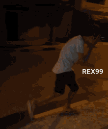 Rex99 Rex GIF - Rex99 Rex Erenox GIFs