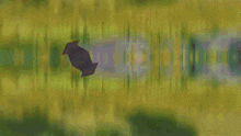 a blurry image of a person standing in a field