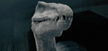 a close up of a statue of a dinosaur 's head with its mouth open .