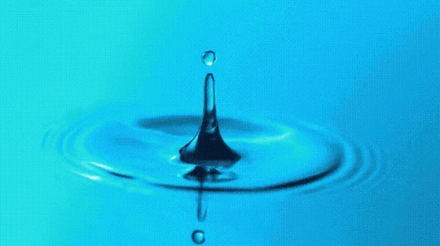 Water Droplets GIFs | Tenor