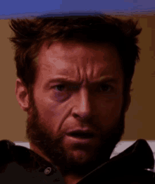 Wolverine Shocked Wolverine GIF - Wolverine Shocked Wolverine GIFs